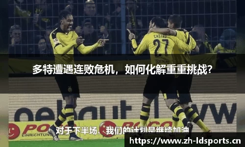 ld乐动体育