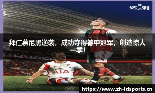 ld乐动体育官网